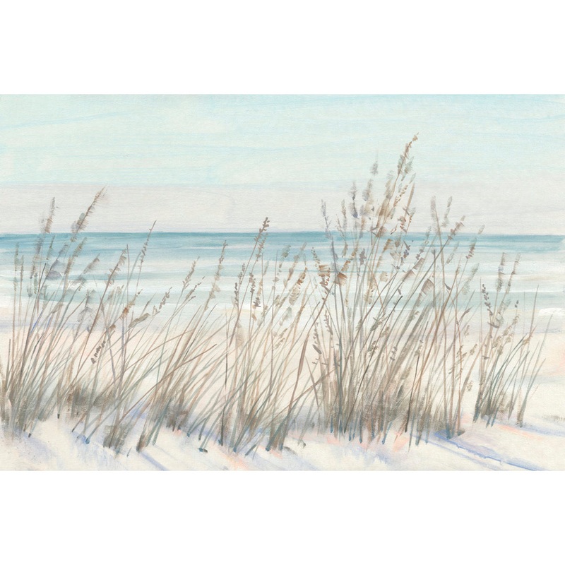 Beach Grass II Beachcrest Home Size: 8″ H x 12″ W x 1.25″ D Format: Gold Floater Framed, Mat Included: No