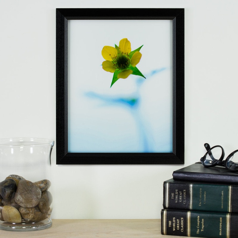 Single Picture Frame Alcott Hill Color: Black Photo Size: 24″ x 34″