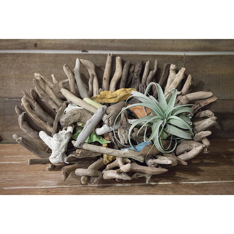 Bucareli Driftwood Oval Decorative Bowl in Brown Beachcrest Home