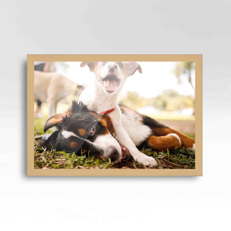Wood Single Picture Frame in Brown CustomPictureFrames.com Color: Brown/White/Green Picture Size: 24″ x 40″