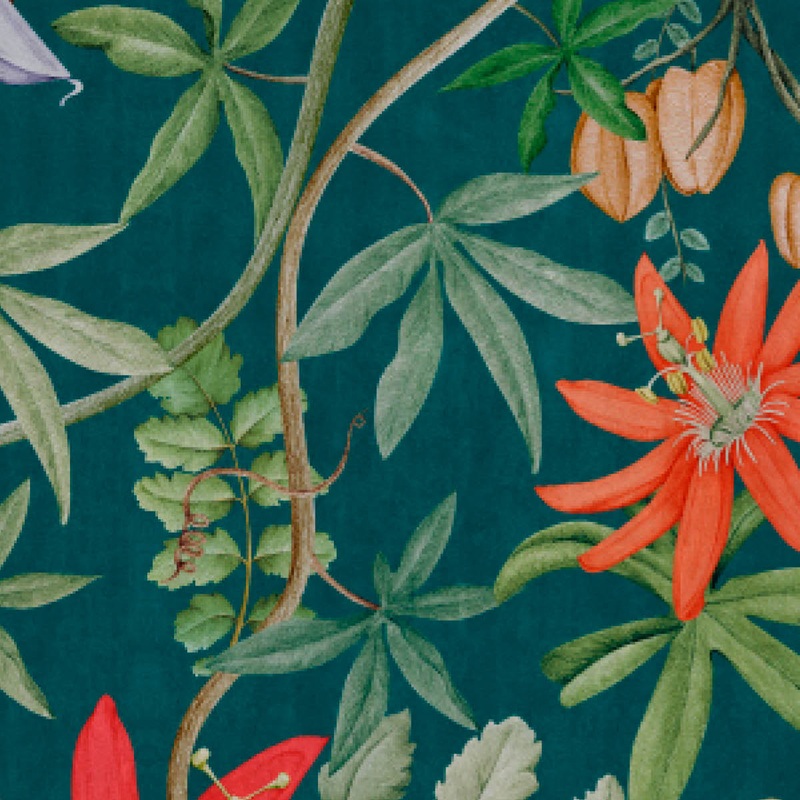 Passiflora Wallpaper