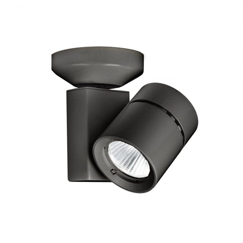 1023 Exterminator II 90CRI Adjustable Spot Light