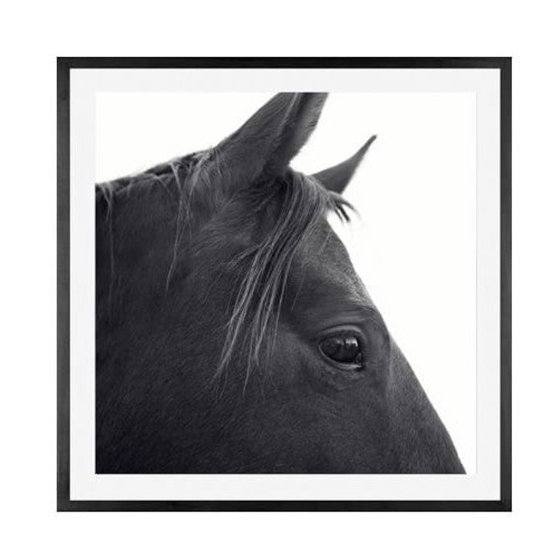 Dark Horse in Profile Print by Jennifer Meyers With Frame