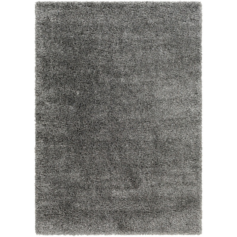 Aminur Performance Dark Gray Rug