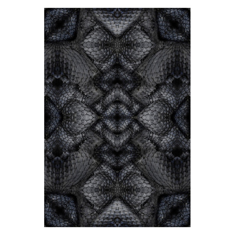 Dwarf Rhino Rug