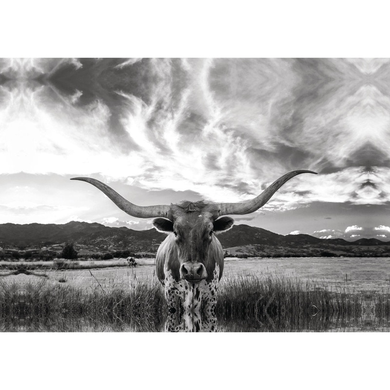 Black And White Longhorn Cow I – Wrapped Canvas Photograph Steelside Size: 12″ H x 18″ W   Format: Gold Framed Print, Mat Included: No
