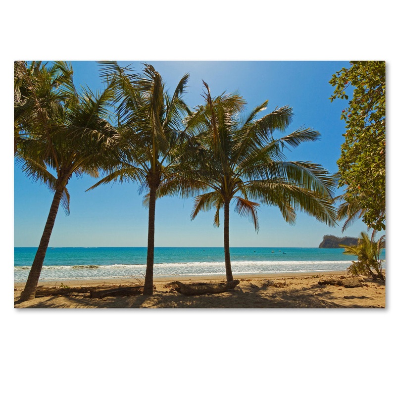 ‘Palm Trees 2’ Photographic Print on Wrapped Canvas Trademark Fine Art Size: 30″ H x 47″ W