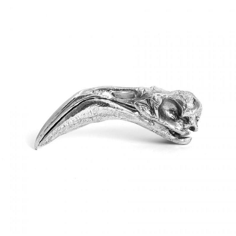 Wunderkammer Flamingo Skull