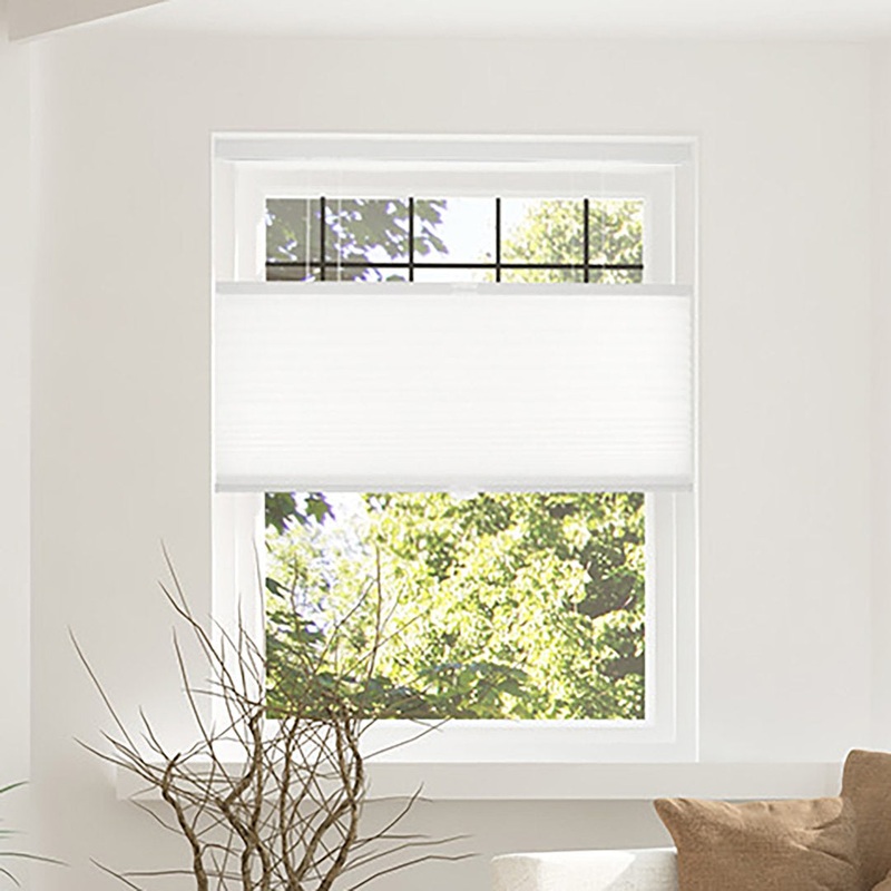 Custom Made Cordless Blackout Cellular Shade Chicology Blind Size: 28″W x 72″L Finish: Cotton