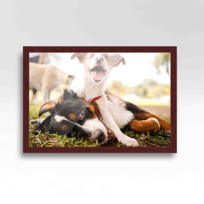 Wood Single Picture Frame in Brown CustomPictureFrames.com Color: Brown Picture Size: 5″ x 10″