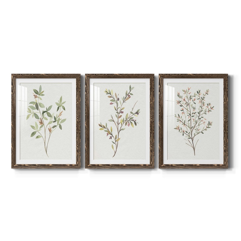 Single Sprig I Premium Framed Matte – Ready To Hang Lark Manor Frame Color: Walnut Size: 20″ H x 51″ W x 1.5″ D