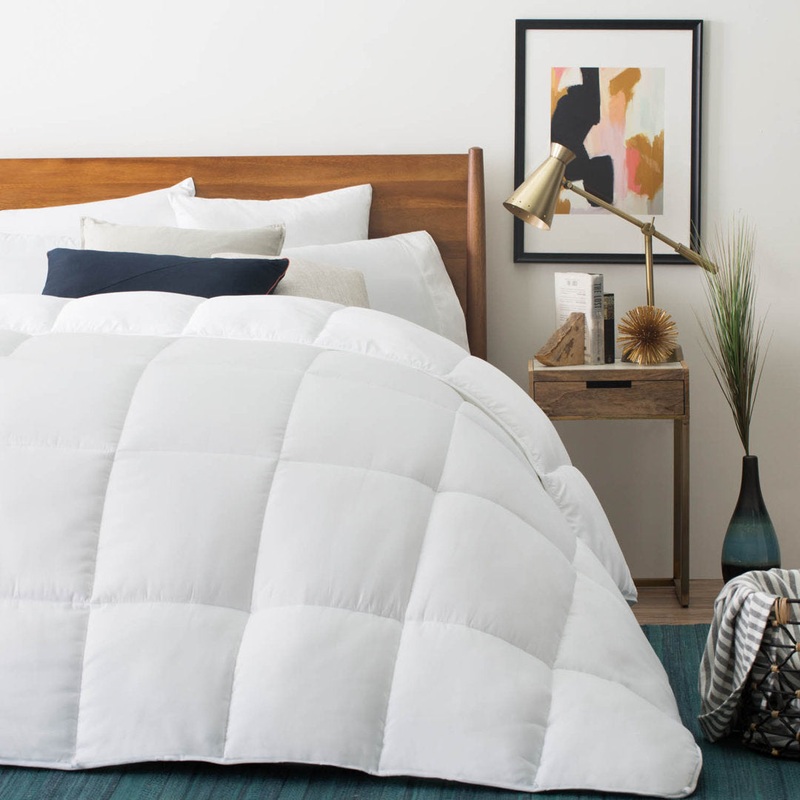 Winter Down Alternative Comforter Alwyn Home Size: Twin