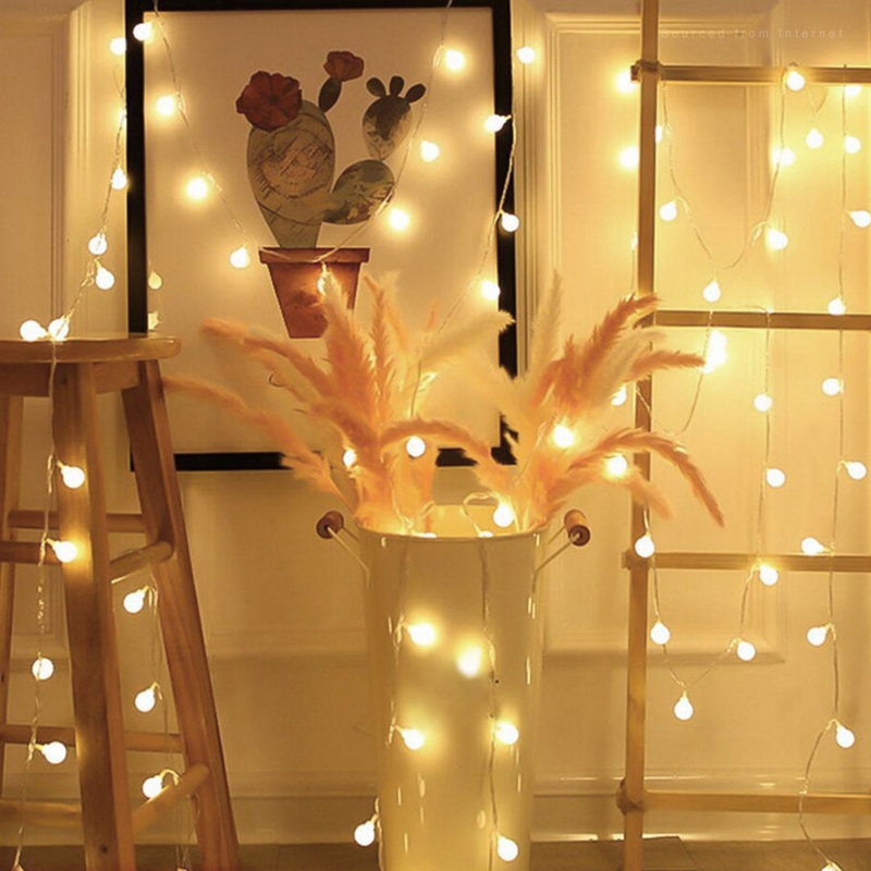 33” Indoor LED 100 – Bulb Globe String Light, Fairy String Lights The Party Aisle Bulb Color: Warm White