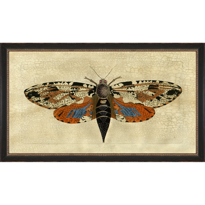 Crackled Moth 5 – Picture Frame Painting on Paper Wendover Art Group