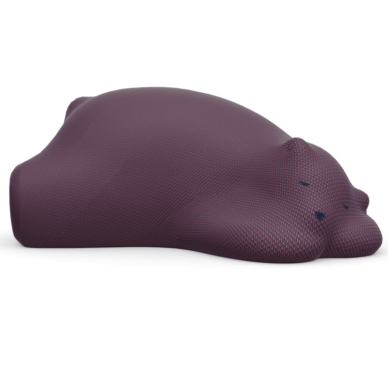 Resting Bear