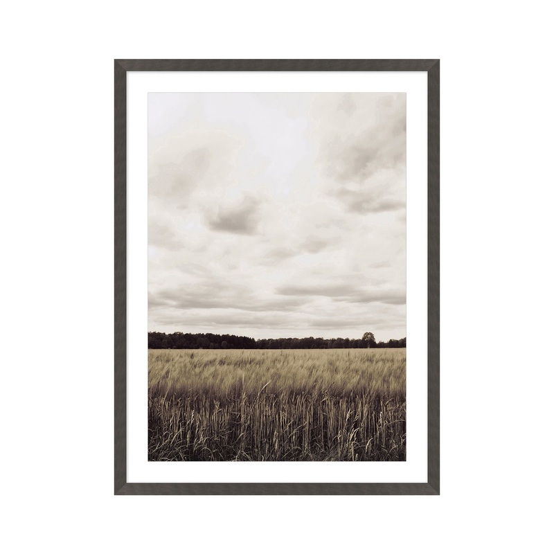 Sepia Wheatland Print Wall Art