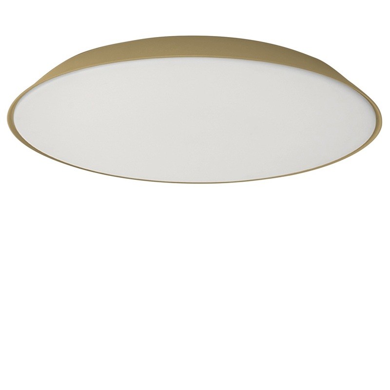 Febe Wall / Ceiling Light