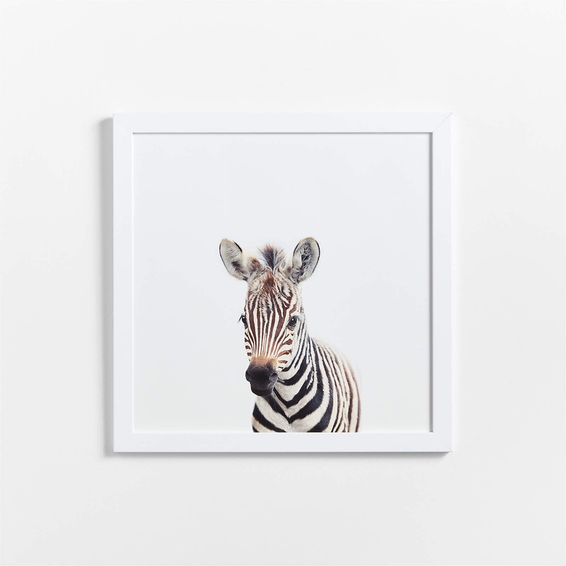 Baby Zebra Framed Wall Art-20″x20″