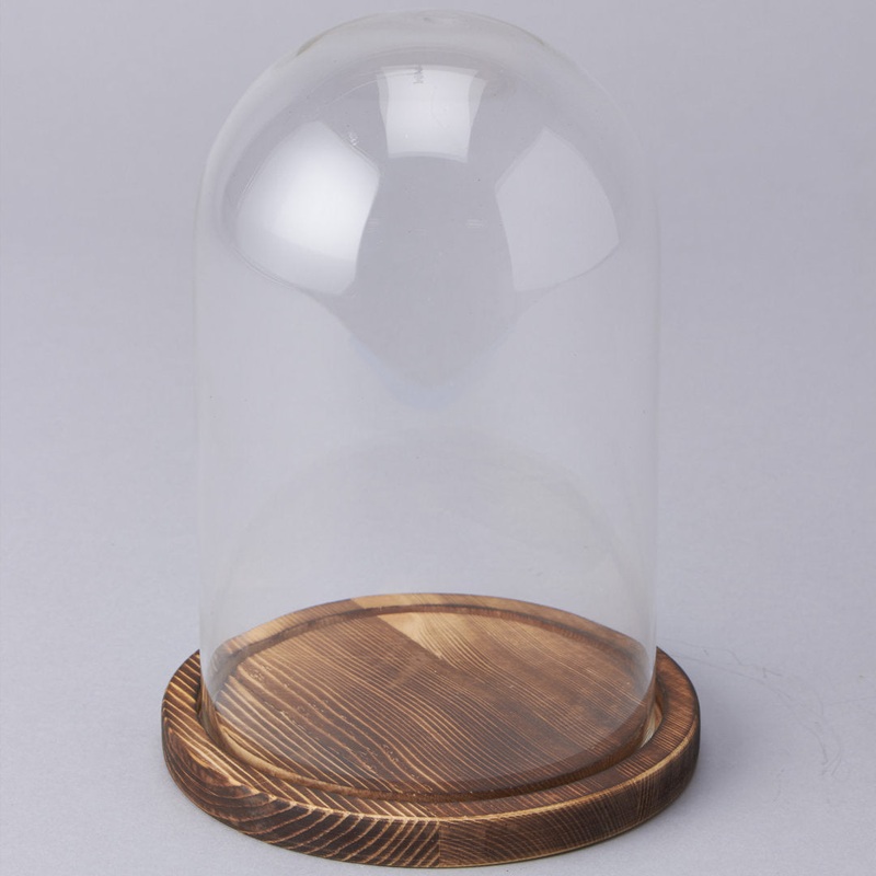 Beacham Glass Dome with Wood Base Charlton Home