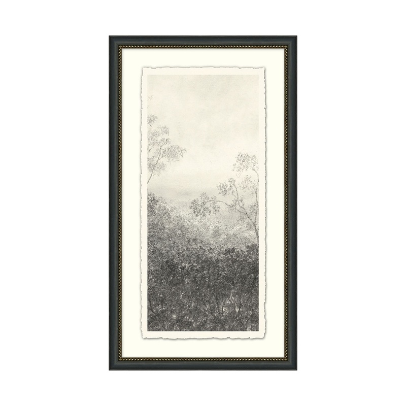 Charcoal VI Tall Trees by Aileen Fitzgerald