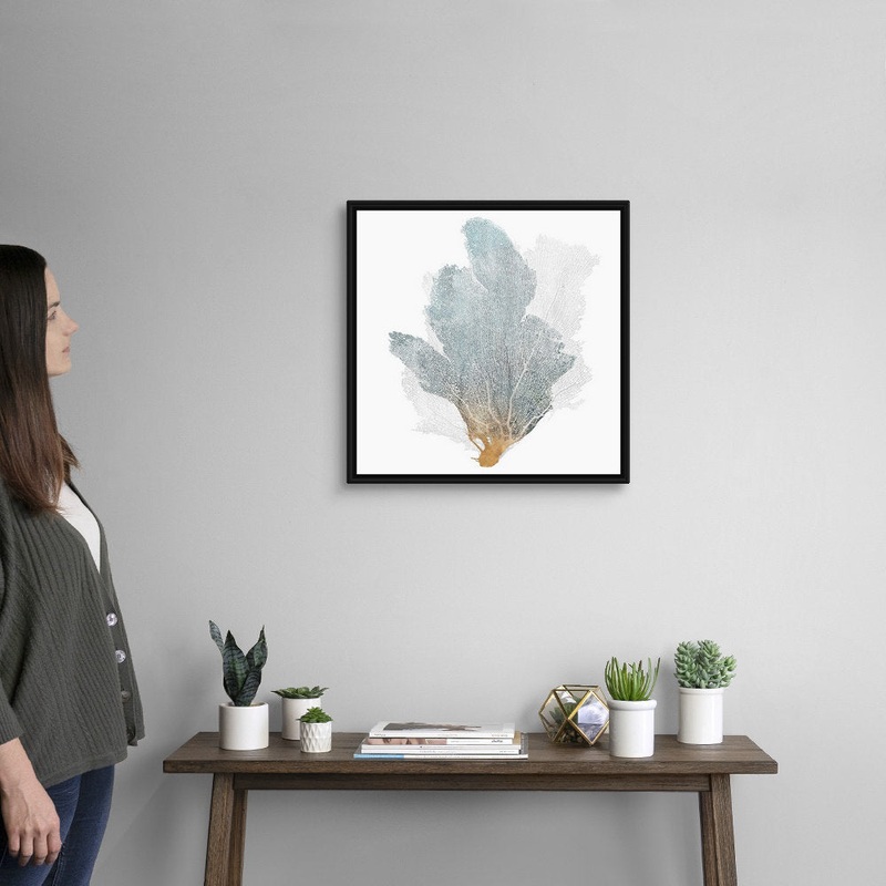 Delicate Coral II by Isabelle Z – Painting Print on Canvas Beachcrest Home Size: 22″ H x 22″ W x 1.75″ D Format: Black Floater Framed Canvas