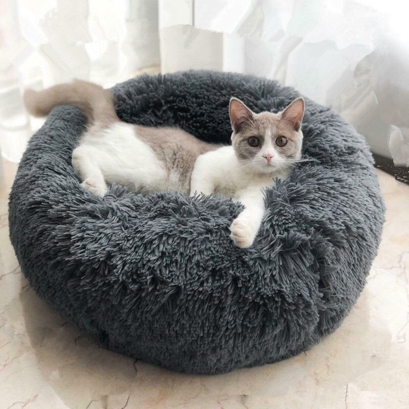 Toccoa Doughnut Tucker Murphy Pet Color: Dark Gray Size: Extra Large (39.4″ W x 39.4″ D x 8″ H)
