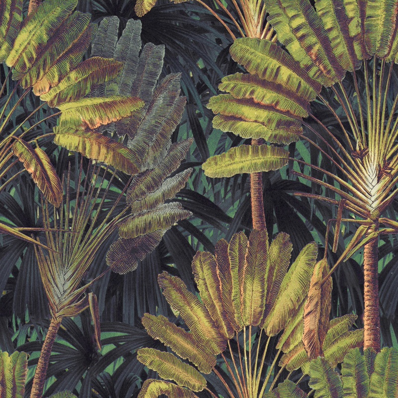 Traveller’s Palm Wallpaper