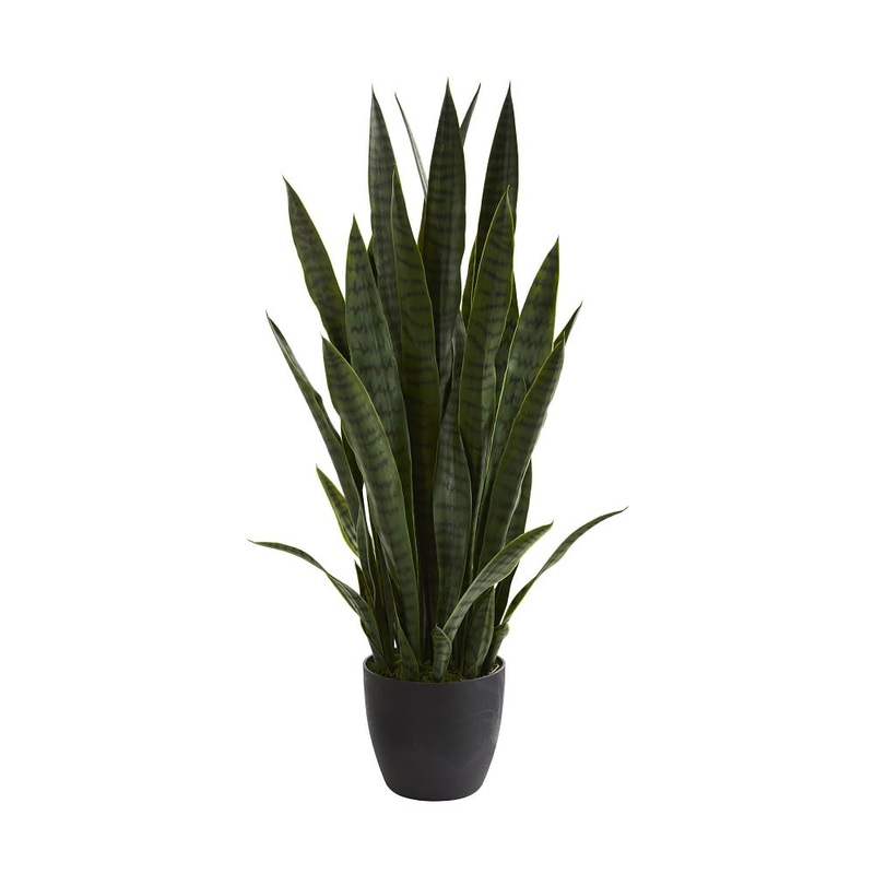 Sansevieria Faux Plant