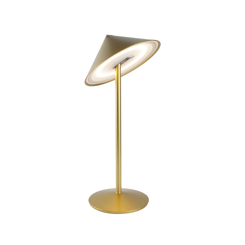 Pina L Portable Desk Lamp