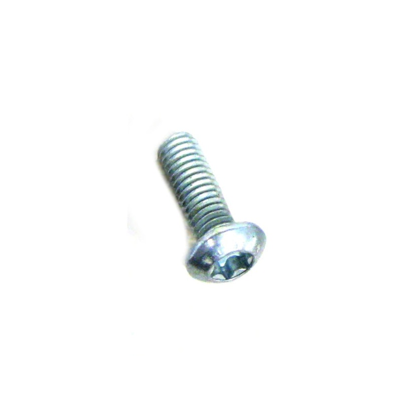Sebo 0199 Screw M 4x 12 ISO 7380